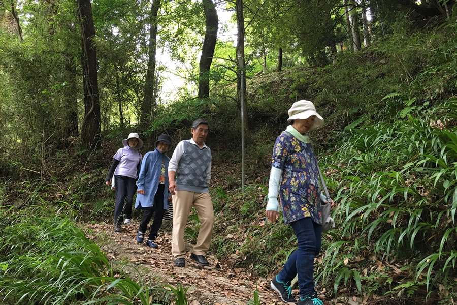 ヒーリングステイ