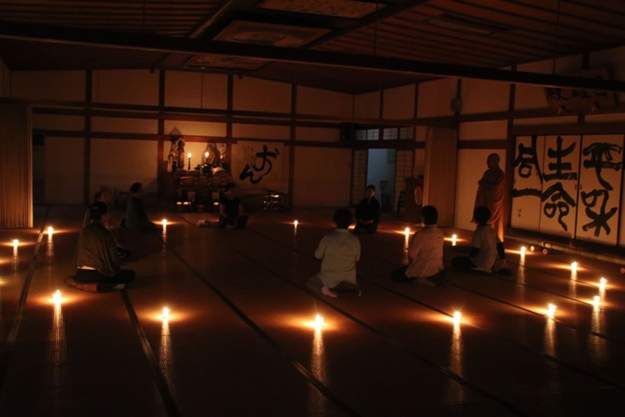 ヒーリングステイ