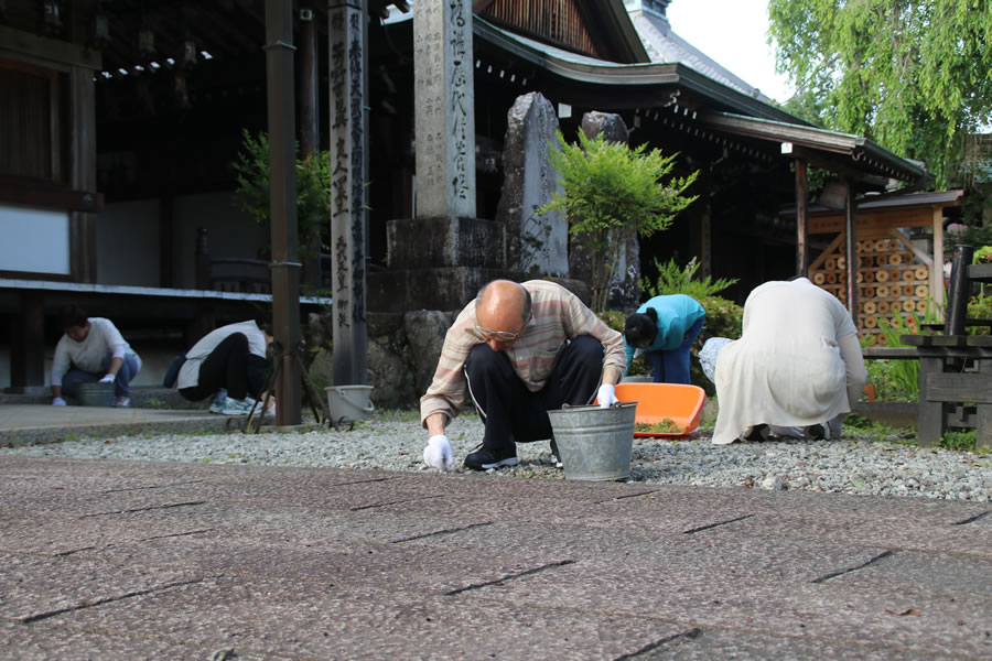 ヒーリングステイ