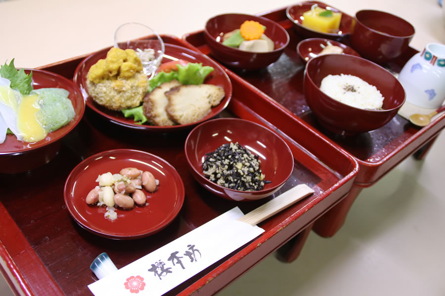 ヒーリングステイ